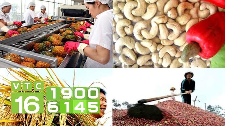 Hotspot Matrix: Biến Hé lộ hậu trường siêu nhạc thành cơ hội marketing đột phá_Sinh viên khởi nghiệp