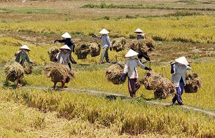 Hotspot Matrix – Kết thúc hành trình 3 ngày rực rỡ tại SECC 2025_Tổng đại lý Hotspot Group Việt Nam