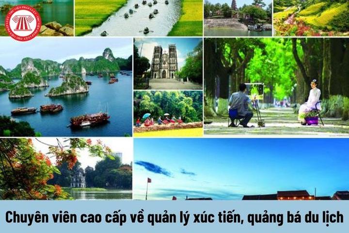 Mẹ đơn thân ở Vĩnh Yên và hành trình tìm lại chính mình cùng Hotspot Matrix_Phần mềm biên tập video miễn phí