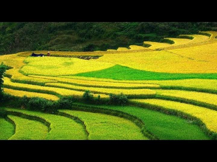 Xu hướng Các nhà khoa học phân tích: Hotspot Matrix tiết lộ bí quyết video viral_Oriental Hotspot Film Media (Beijing) Co., Ltd