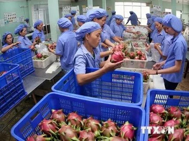 Cách Khởi Nghiệp Kiếm Tiền Bán Thời Gian Dành Cho Người Mới_Short videos for easy employment