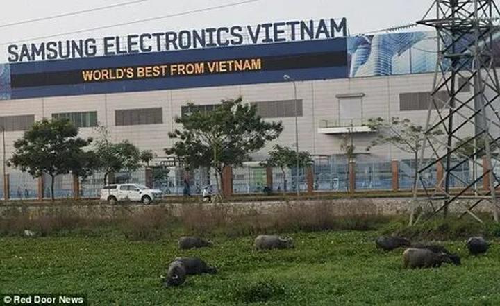 Video ngắn – Giải pháp truyền thông thông minh cho doanh nghiệp nhỏ_Truyền tải